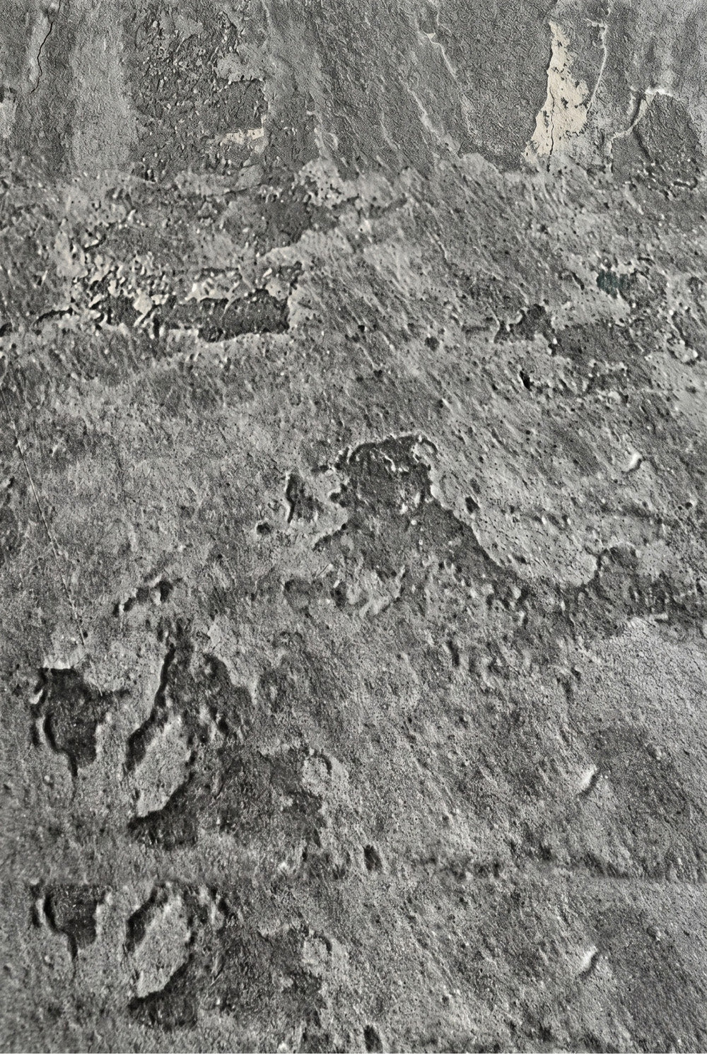 3D-wandpaneel - Concrete Grey - betonlook - EPS