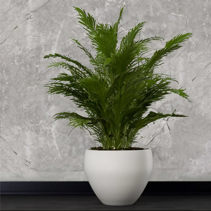 Grau Carrara- Wandpaneel PVC- Marmoroptik - 260cm*122cm