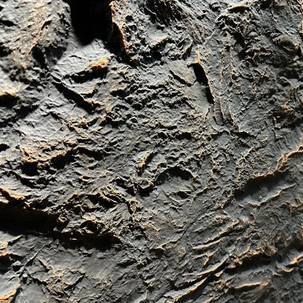 Dragon Canyon – 3D-Wandpaneel
120x60x2-4cm