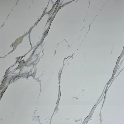 Elagant Calacata - PVC Wandpaneel - Marmoroptik
122x260x0.3cm