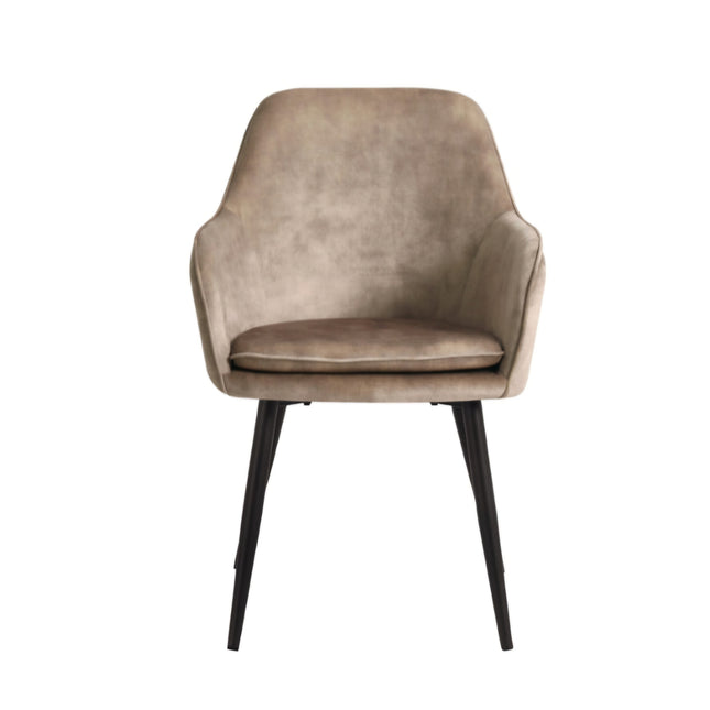 2 Stück Esszimmerstuhl - Levan - Champagne - Adoré Velvet