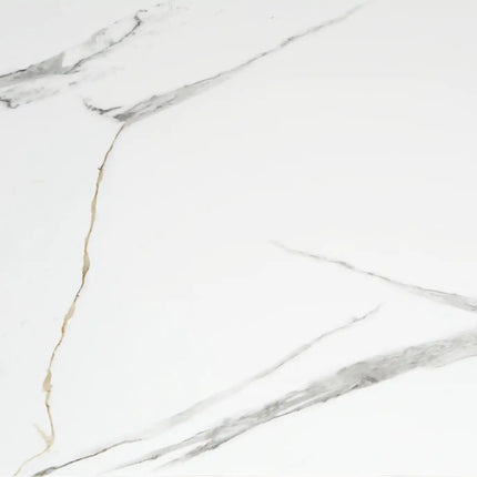 SPC Wandpaneel in Marmoroptik Calacatta Weiß 120x60cm
120x60x0.3cm