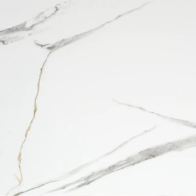 SPC Wandpaneel in Marmoroptik Calacatta Weiß 120x60cm
120x60x0.3cm