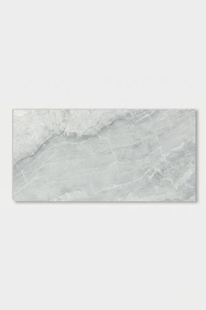 SPC-wandpaneel - Ash Grey - Marmerlook - 60 x 120 cm