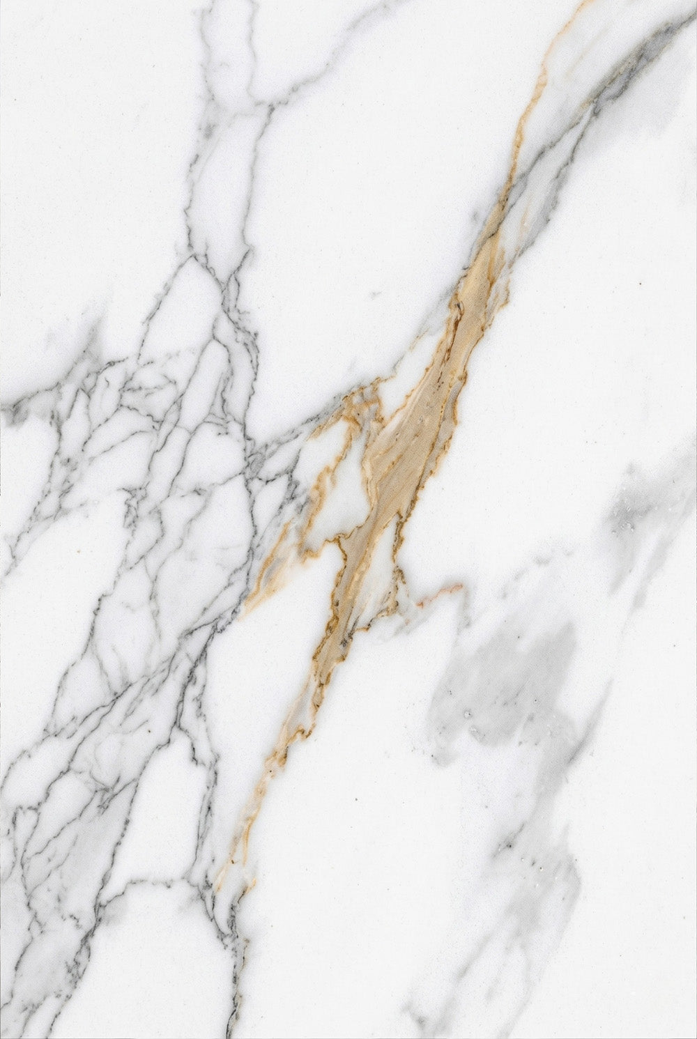 SPC-wandpaneel - Calacatta wit - marmerlook - 60 x 120 cm